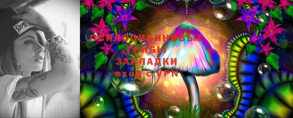 дурь Абаза