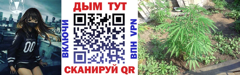 Шишки марихуана план  магазин    Полярный 